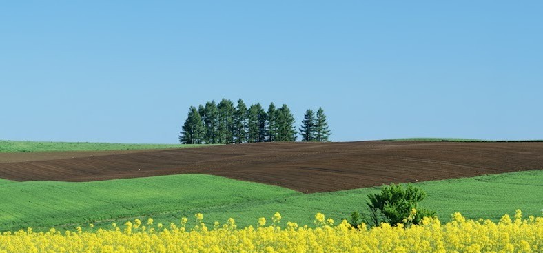 相続手続き・遺言の専門家